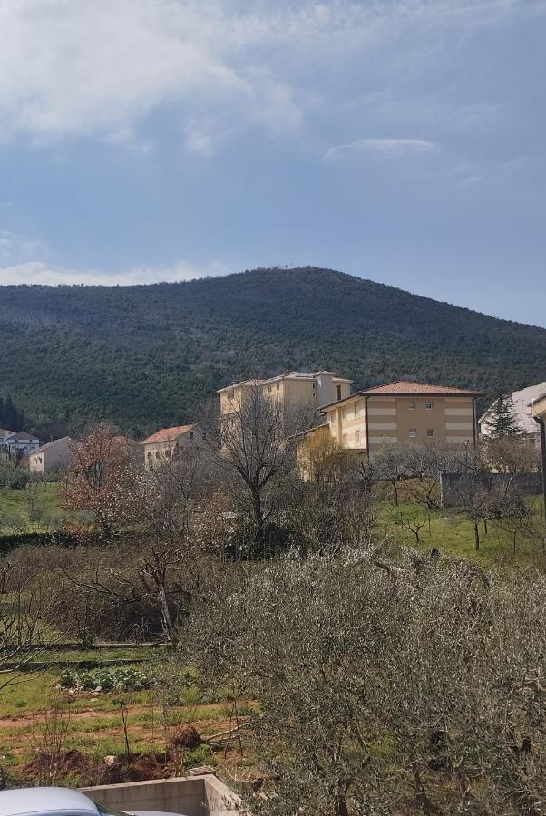Pansion Danijel Hotel Međugorje Quarto foto