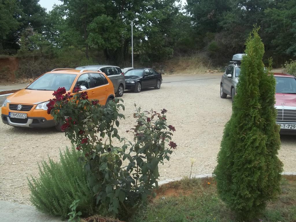 Pansion Danijel Hotel Međugorje Exterior foto
